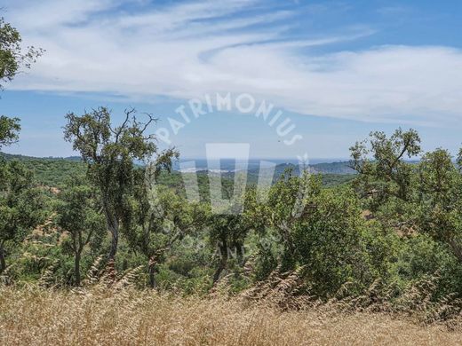 Farm in Grândola, Distrito de Setúbal