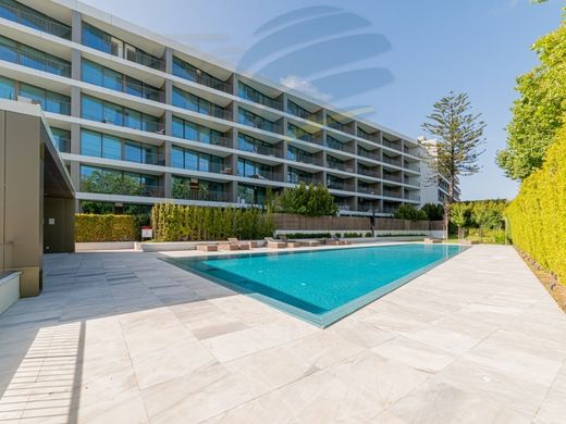 Daire Cascais, Distrito de Lisboa