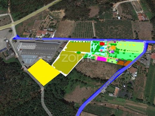 Águeda, Distrito de Aveiroの高級住宅