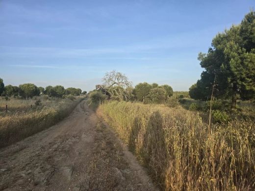 Terreno a Ourique, Distrito de Beja