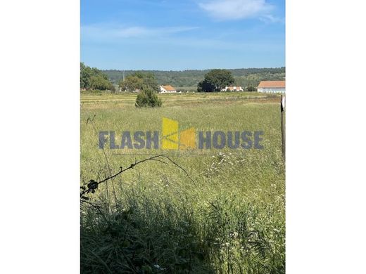 Demeure ou Maison de Campagne à Coruche, Distrito de Santarém