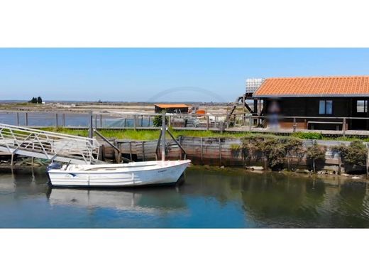 Island in Aveiro