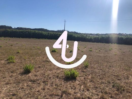 Land in Caldas da Rainha, Distrito de Leiria