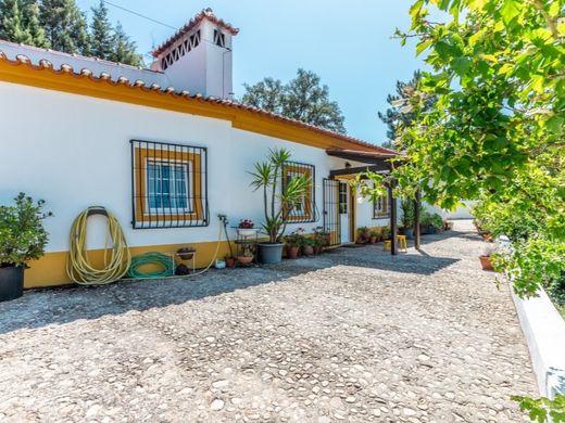 Πολυτελή κατοικία σε Ponte de Sôr, Ponte de Sor