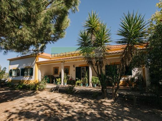 Maison de luxe à Coruche, Distrito de Santarém