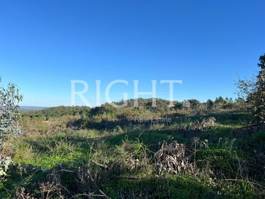 Land in Santarém, Distrito de Santarém