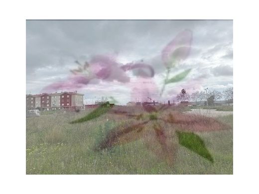 Terreno en Montijo, Setúbal