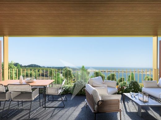 Daire Vila Nova de Gaia, Distrito do Porto