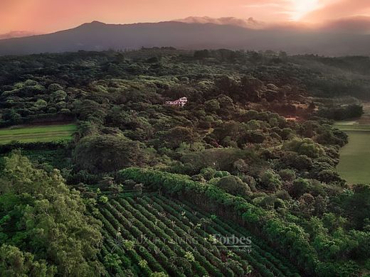 Albergo a Santa Bárbaraa, Provincia de Heredia