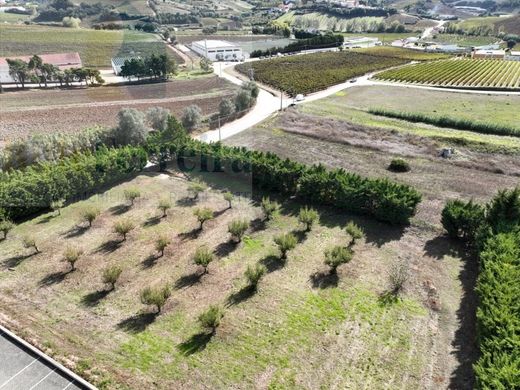 Land in Torres Vedras, Lisbon