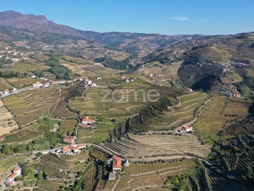 Lüks ev Mesão Frio, Distrito de Vila Real