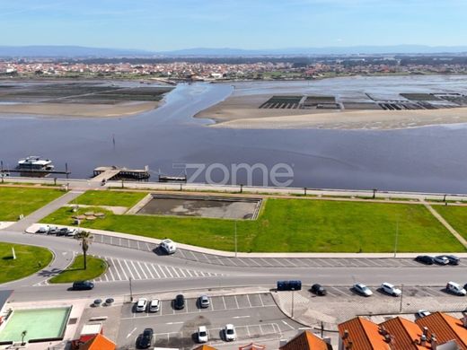 Luxury home in Ílhavo, Aveiro