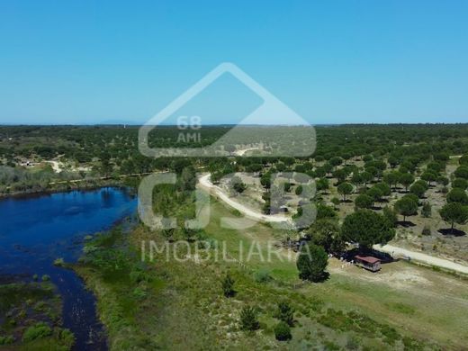 地皮  Benavente, Distrito de Santarém