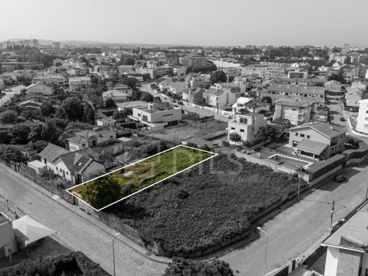 토지 / 포르투, Porto