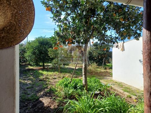 Landhaus / Bauernhof in Grândola, Distrito de Setúbal