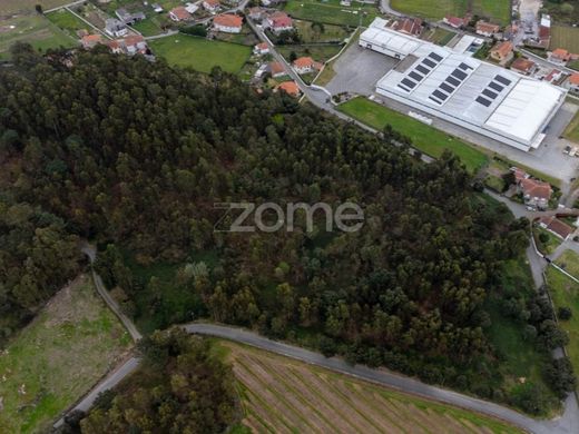 Αγροτεμάχιο σε Santo Tirso, Distrito do Porto