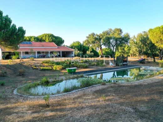 Boerderij in Montemor-o-Novo, Montemor-O-Novo