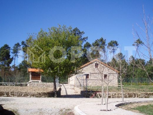 Terreno - Viseu