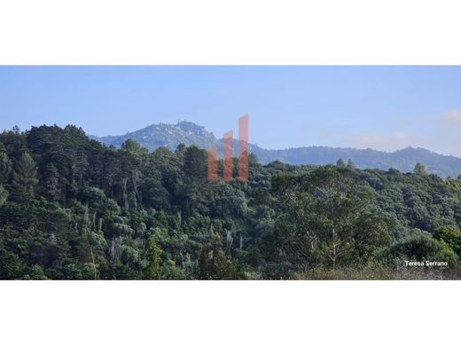 Αγροτεμάχιο σε Σίντρα, Sintra