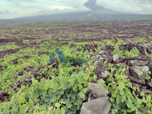 Land in Madalena, Azores