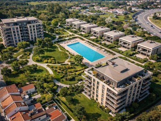 토지 / 포르투, Porto