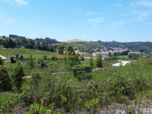 Terrain à Alcobaça, Distrito de Leiria