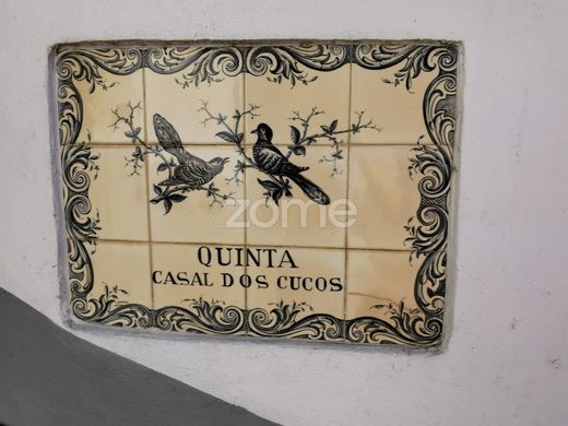 Casa de lujo en Águeda, Aveiro