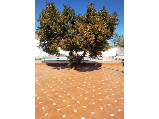 Luxury home in Cáceres, Caceres