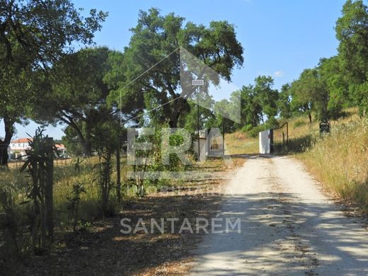 Φάρμα σε Salvaterra de Magos, Distrito de Santarém