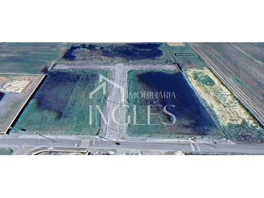 Terrain à Almeirim, Santarém