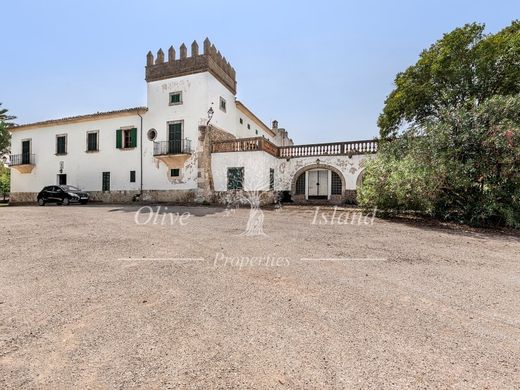 Rustico o Casale a Maria de la Salut, Isole Baleari