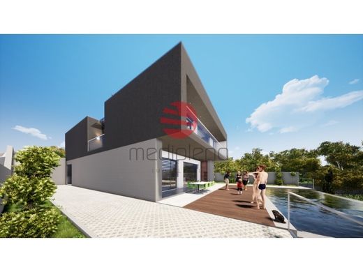 호화 저택 / Viseu, Distrito de Viseu