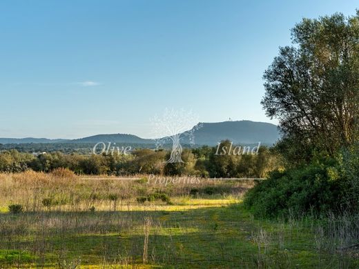 Grond in Algaida, Balearen