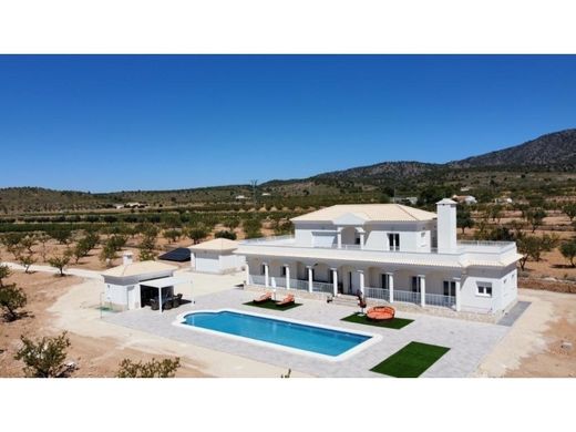 Willa w Pinoso, Provincia de Alicante