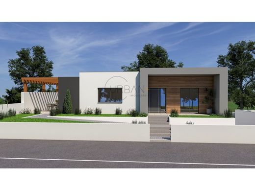 단독 저택 / Viseu, Distrito de Viseu