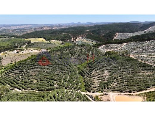 地皮  Aljezur, Distrito de Faro