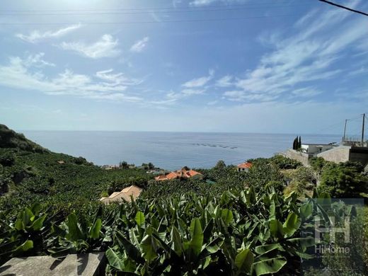 Arsa Calheta, Madeira