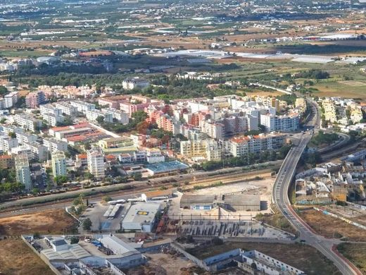 토지 / Faro, Distrito de Faro