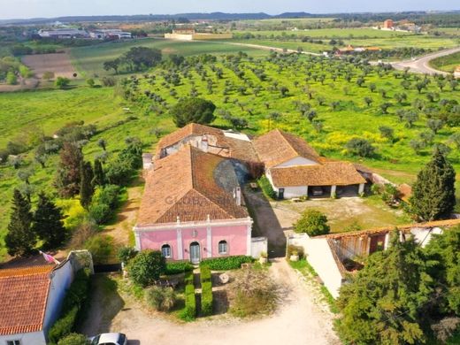 Luxury home in Torres Novas, Distrito de Santarém