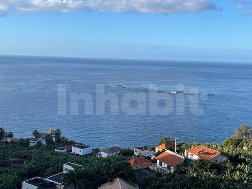 Terrain à Calheta, Madère