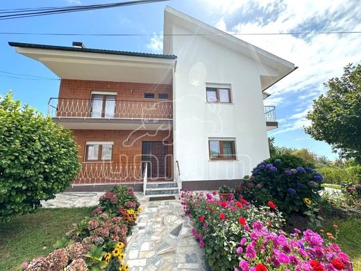 호화 저택 / Viana do Castelo, Distrito de Viana do Castelo