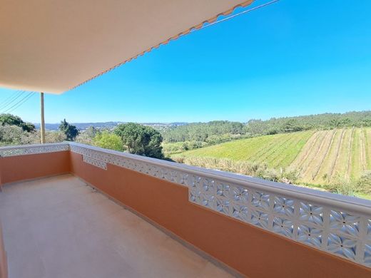 Caldas da Rainha, Distrito de Leiriaの高級住宅