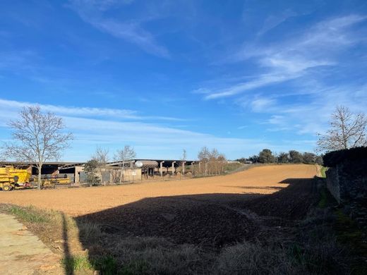 Teren w Foixà, Província de Girona
