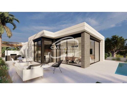 Villa in Pilar de la Horadada, Alicante