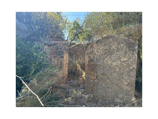 토지 / Tavira, Distrito de Faro