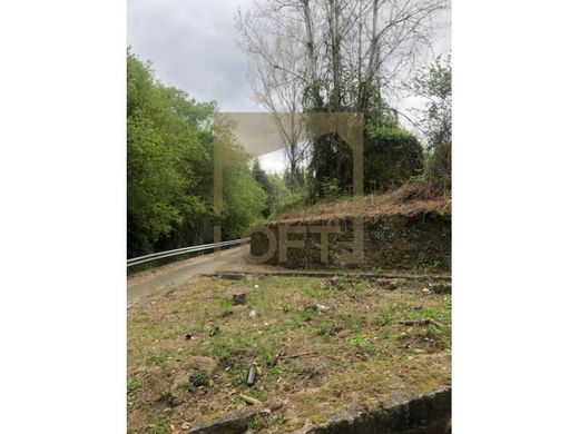 Rural or Farmhouse in Felgueiras, Distrito do Porto