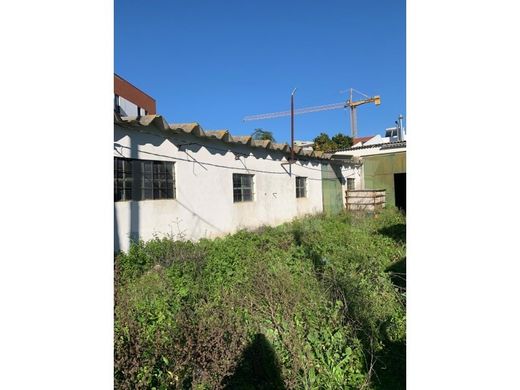 Terreno - Montijo, Setúbal