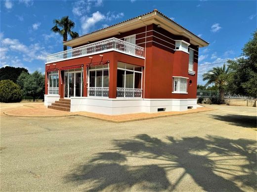 Elche, アリカンテの高級住宅