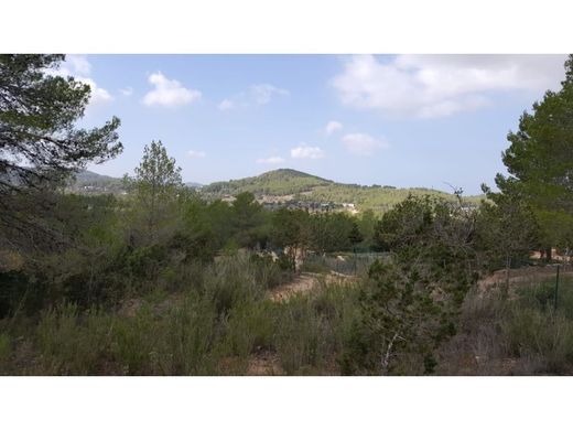 토지 / Sant Antoni de Portmany, Illes Balears