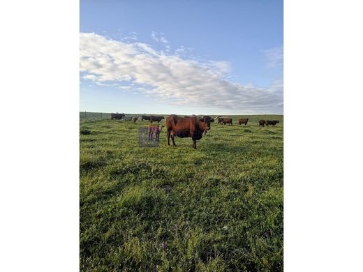 Luxe woning in Cáceres, Provincia de Cáceres